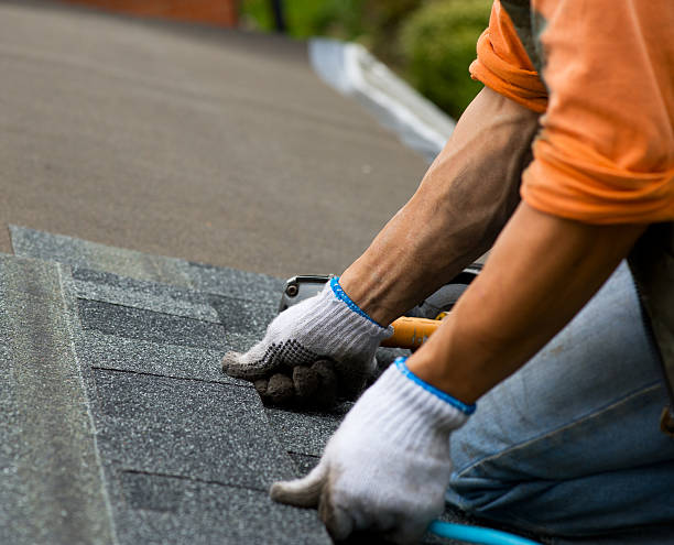 Quick and Trustworthy Emergency Roof Repair Services in Homeland Park, SC